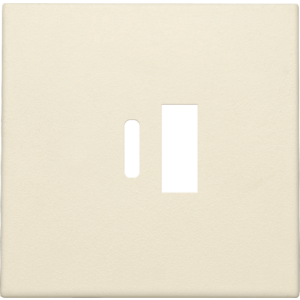 Centraalplaat USB-lader Creme 100-68002