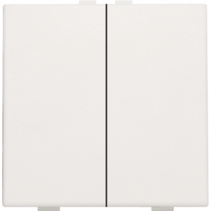 Home Control Tweevoudige Drukknop White 101-51002