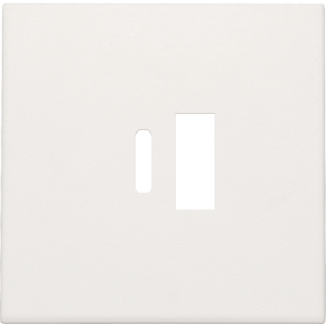 Centraalplaat USB-lader White 101-68002