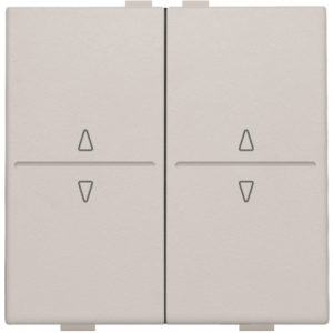 Toets 2X RF / Bus O/N Light Grey 102-00010