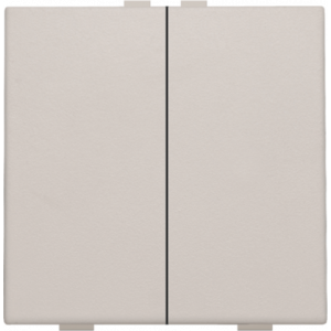 Home Control Tweevoudige Drukknop Light Grey 102-51002