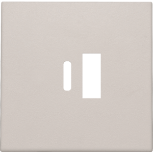 Centraalplaat USB-lader Light Grey 102-68002