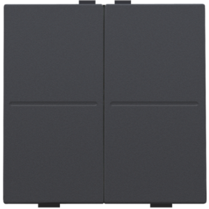 Toets 2X RF / Bus Athracite 122-00007