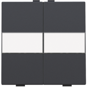 Toets 2X RF / Bus Tekst Athracite 122-00012