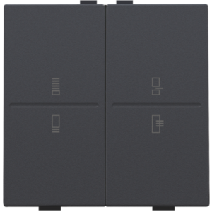 Toets 2X RF / Bus Regime Athracite 122-00099