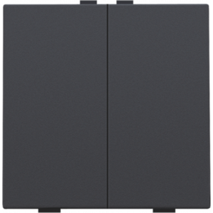 Home Control Tweevoudige Drukknop Athracite 122-51002