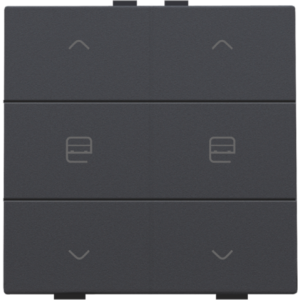 Home Control Tweevoudige Motorbediening Athracite 122-51036