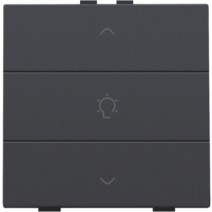 Home Control Dimbediening Athracite 122-51043