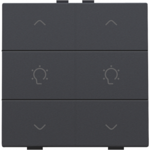 Home Control Dubbele Dimbediening Athracite 122-51046