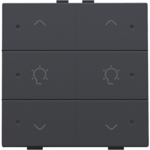 Home Control Dubbele Dimbediening + LED Athracite 122-52046