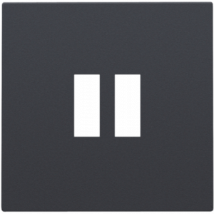Centraalplaat USB-lader Athracite 122-68001