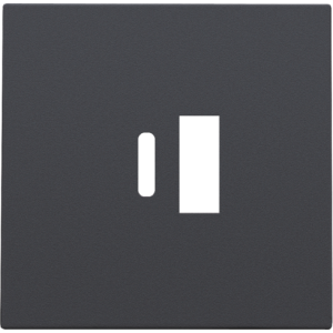 Centraalplaat USB-lader Athracite 122-68002