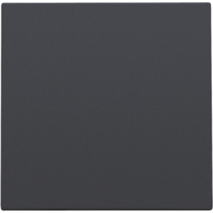 Centrale Blindplaat Athracite 122-76901