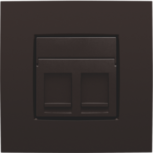 Centraalplaat data 2x RJ Dark Brown 124-65200