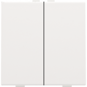 Home Control Tweevoudige Drukknop White Coated 154-51002