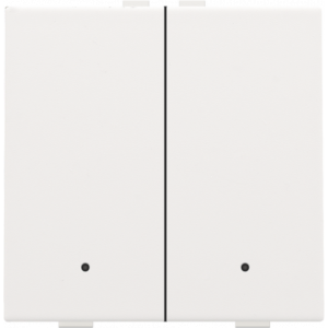 Home Control Tweevoudige Drukknop + LED White Coated 154-52002