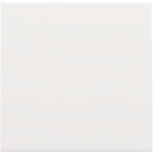 Centrale Blindplaat White Coated 154-76901
