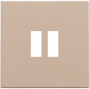 Centraalplaat USB-lader Champagne Coated 157-68001