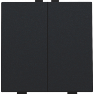 Home Control Tweevoudige Drukknop Black Coated 161-51002