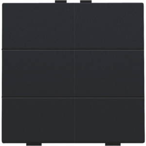 Home Control Zesvoudige Drukknop Black Coated 161-51006