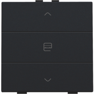 Home Control Motorbediening Black Coated 161-51033