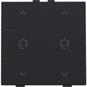 Home Control Dubbele Dimbediening Black Coated 161-51046