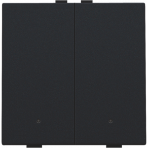 Home Control Tweevoudige Drukknop + LED Black Coated 161-52002