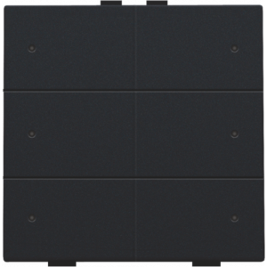 Home Control Zesvoudige Drukknop + LED Black Coated 161-52006
