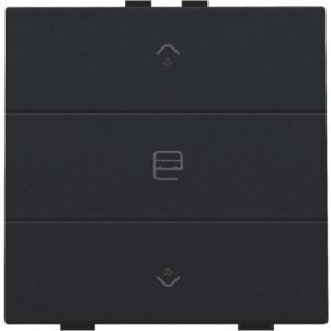 Home Control Zesvoudige Drukknop + LED Black Coated 161-52033