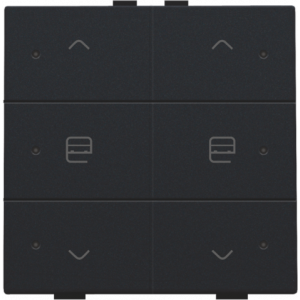 Home Control Dubbele Motorsturing + LED Black Coated 161-52036