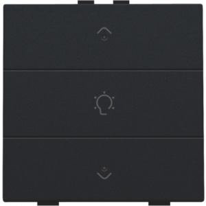 Home Control Dimbediening + LED Black Coated 161-52043