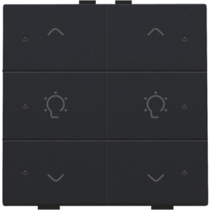 Home Control Dubbele Dimbediening + LED Black Coated 161-52046