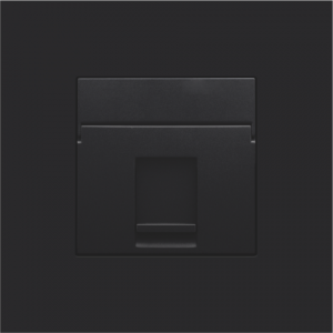 Centraalplaat Data 1x RJ Black Coated 161-65100