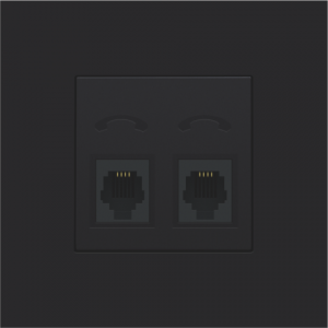 Centraalplaat 2x RJ11 Tel Black Coated 161-69031