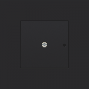 Centraalpl RF-Ontvanger Black Coated 161-77001