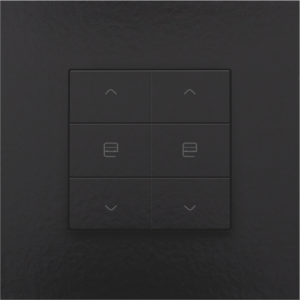 Home Control Tweevoudige Motorbediening Piano Black Coated 200-51036