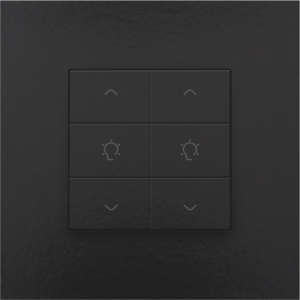 Home Control Dubbele Dimbediening Piano Black Coated 200-51046