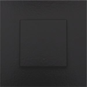 Home Control Drukknop + LED Piano Black Coated 200-52001