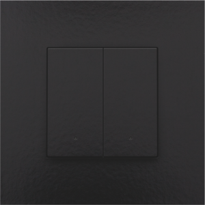 Home Control Tweevoudige Drukknop + LED Piano Black Coated 200-52002