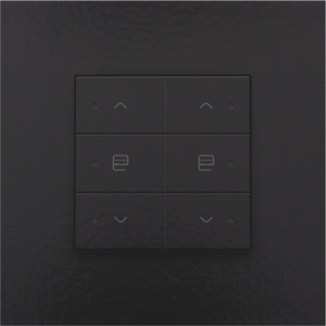 Home Control Dubbele Motorsturing + LED Piano Black Coated 200-52036