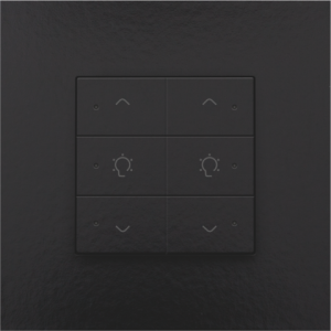 Home Control Dubbele Dimbediening + LED Piano Black Coated 200-52046