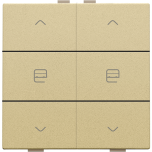 Home Control Tweevoudige Motorbediening Alu Gold Coated 221-51036
