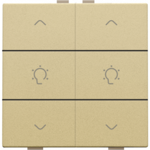 Home Control Dubbele Dimbediening Alu Gold Coated 221-51046