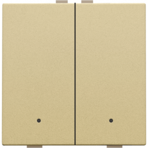 Home Control Tweevoudige Drukknop + LED Alu Gold Coated 221-52002