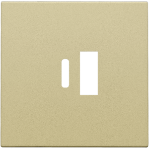 Centraalplaat USB-lader Alu Gold Coated 221-68002