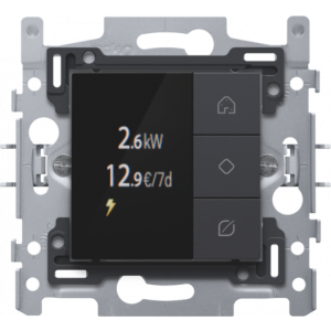Home Control Ecodisplay  550-13080