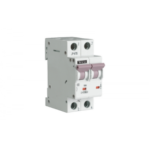 Automaat 2P 25A