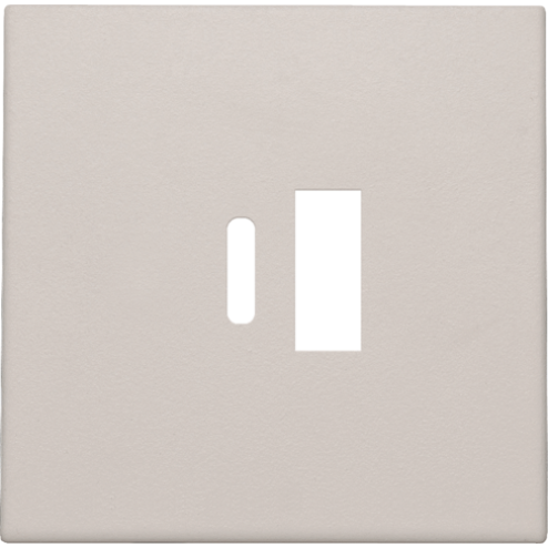 NIK10268002-Centraalplaat USB-lader Light Grey 102-68002-Niko