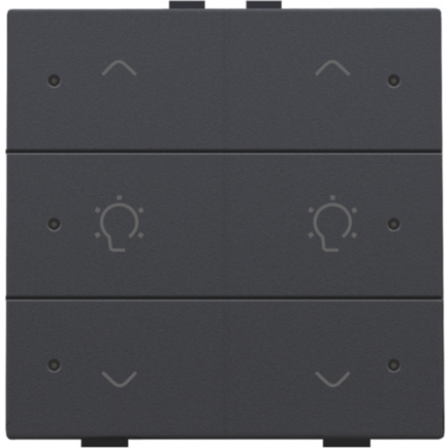122-52046-Home Control Dubbele Dimbediening + LED Athracite 122-52046-Niko