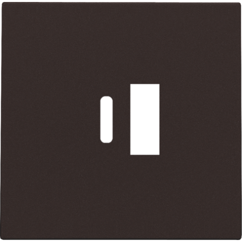 NIK12468002-Centraalplaat USB-lader Dark Brown 124-68002-Niko